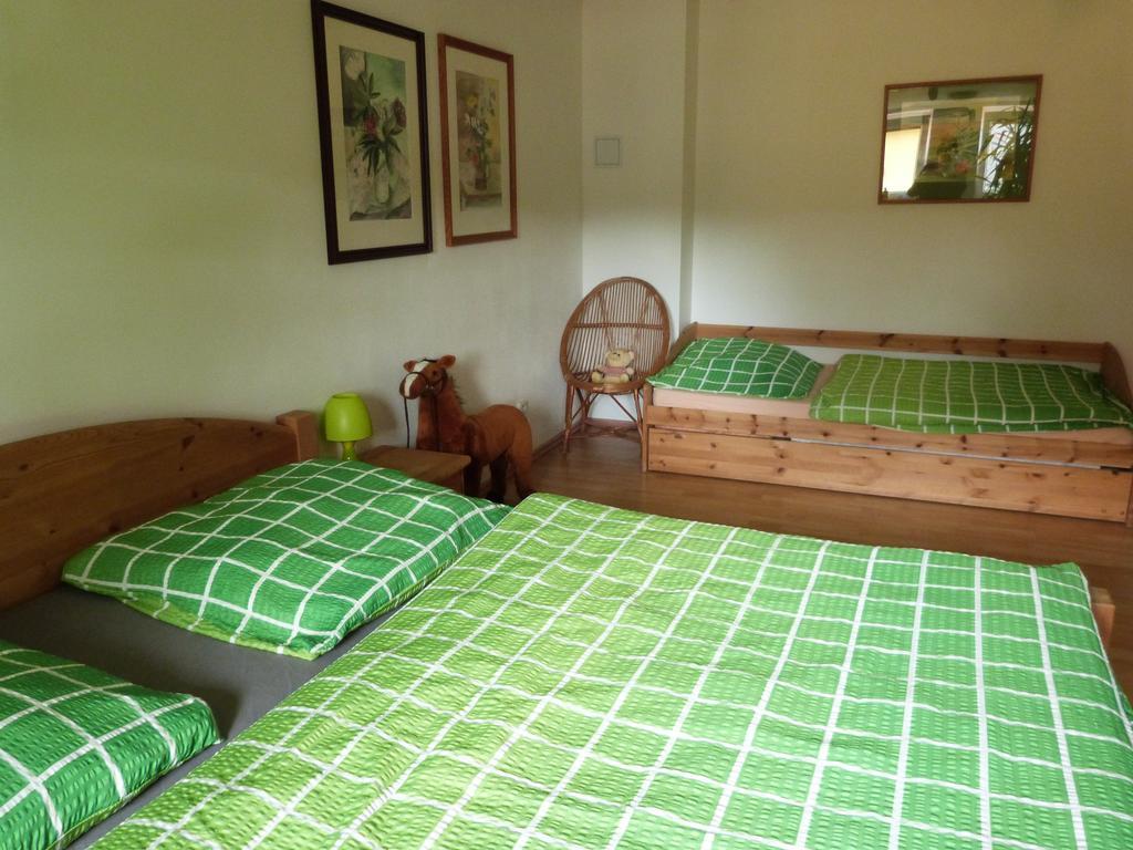 Apartment Apartman Susice Susice