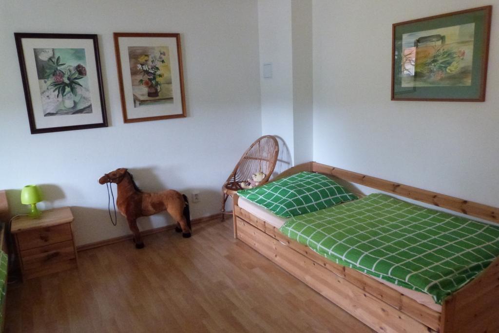 Apartment Apartman Susice