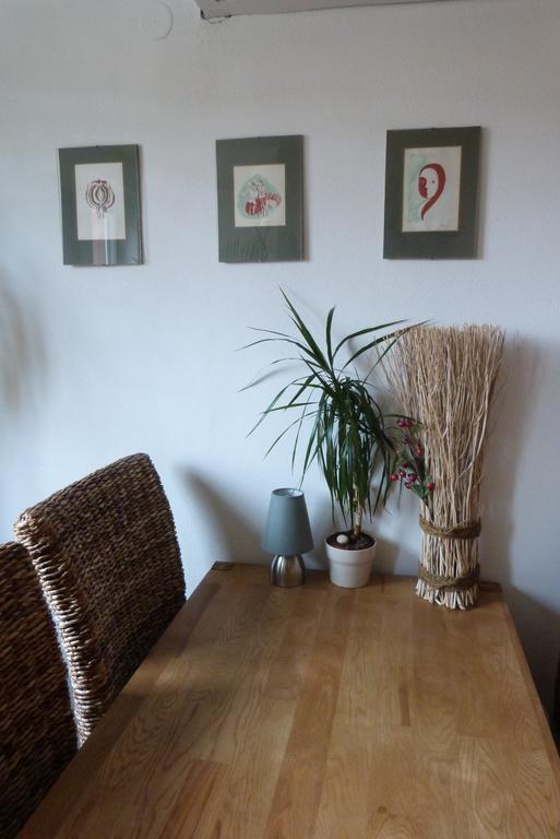 Apartment Apartman Susice Susice