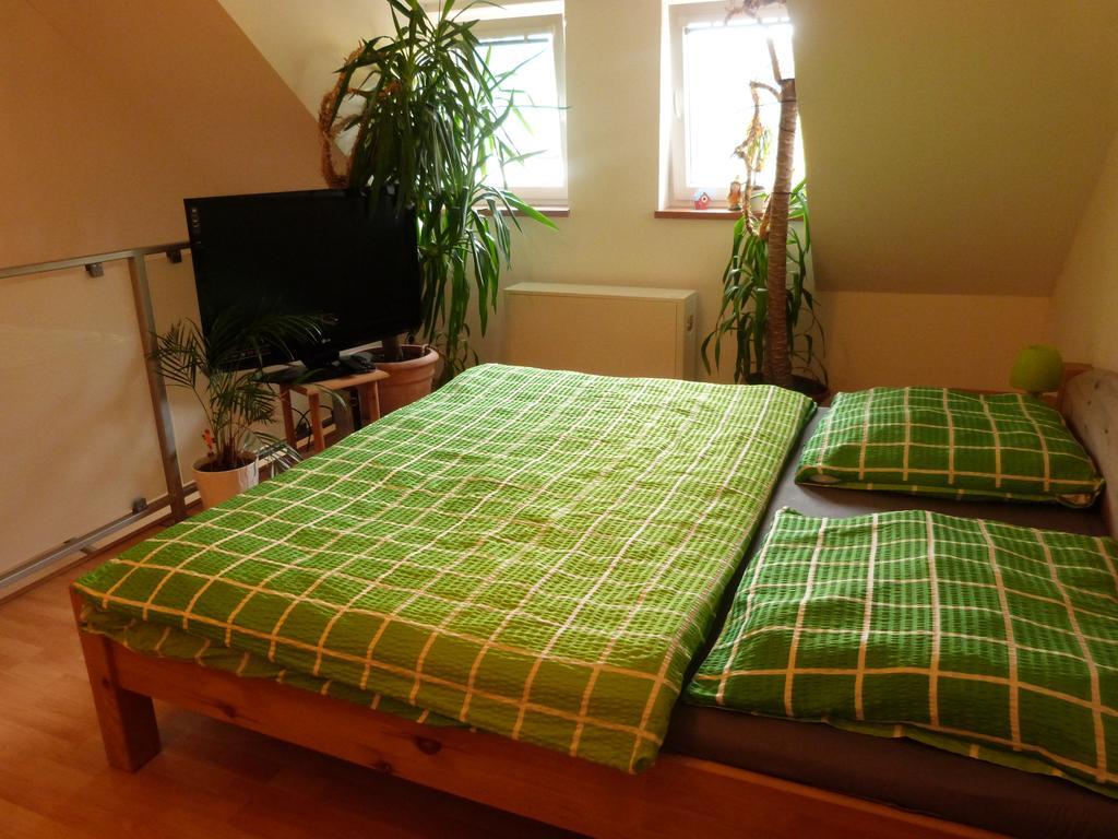 Apartment Apartman Susice Susice