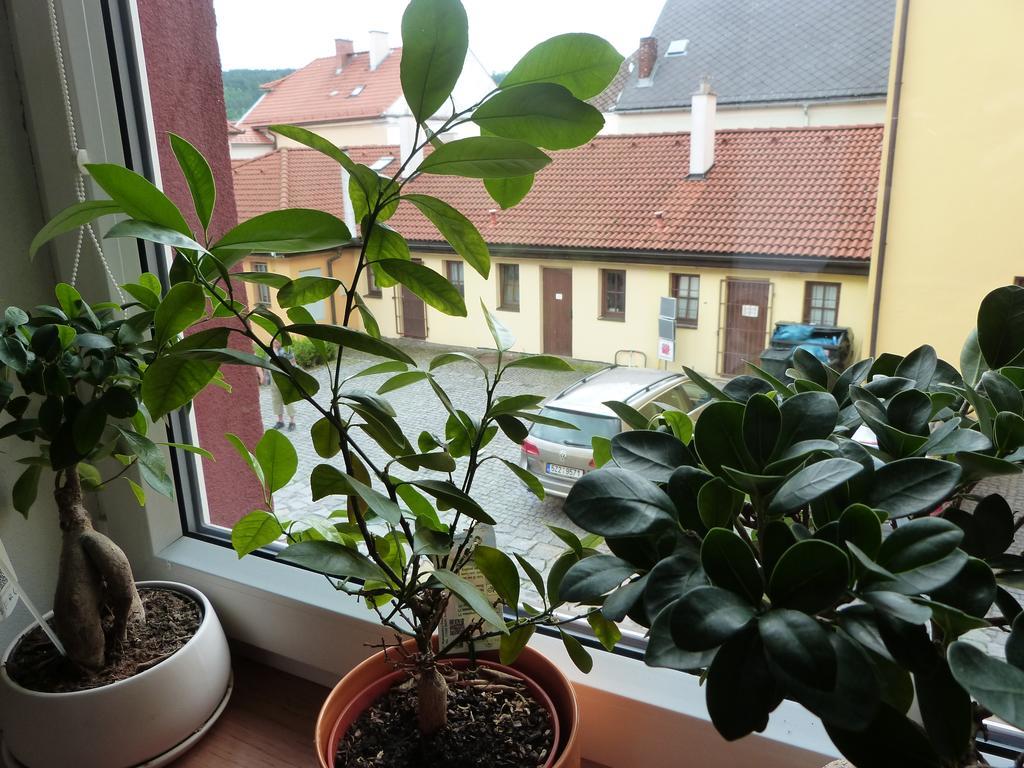 Apartman Susice
